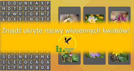 Znajdź ukryte nazwy wiosennych ptaków