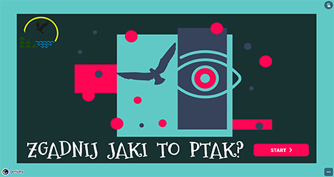 Jaki to ptak?