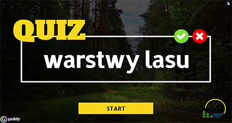 Warstwy lasu