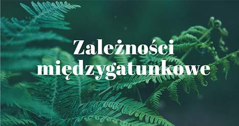 Zależności międzygatunkowe