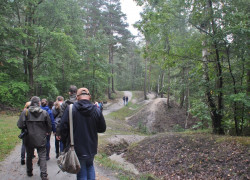 warsztaty geopark