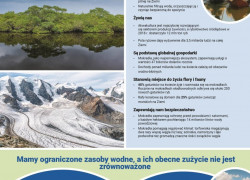 mokradła plakat informacyjny
