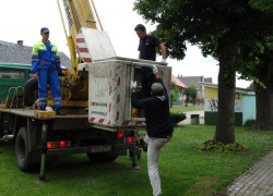 Obrączkowanie_bocianów11