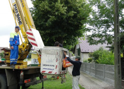 Obrączkowanie_bocianów50