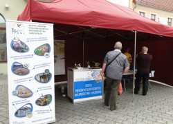 Dni_województwa_lubuskiego06