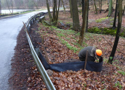 20170407_kontrola_płotka_fot_NBW_16