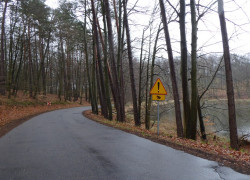 20170407_kontrola_płotka_fot_NBW_23