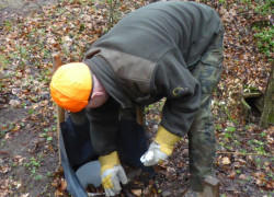 20170407_kontrola_płotka_fot_NBW_3