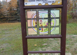ogród_11