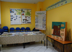 DSC00043