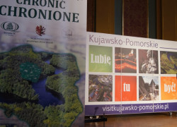 Toruń_02