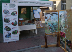 Jarmark_Magdaleński_2014_16_1