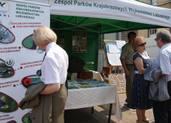 Jarmark_Magdaleński_2014_1_1