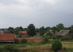 IMGP9750