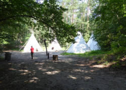 Zdjęcie_15
