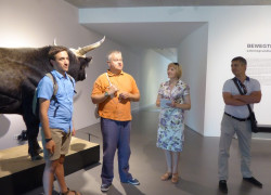 Zdjęcie_35