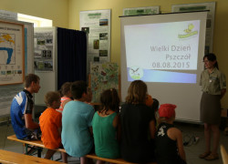 pszczoły01