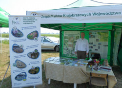 20150808_święto_ryby_1