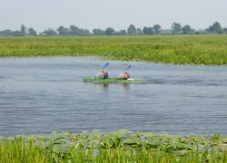 20150808_święto_ryby_38