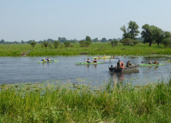 20150808_święto_ryby_39