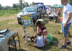 20150808_święto_ryby_8