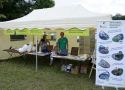 Łęknica_Święto_Województwa_2016_6