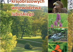Broszura