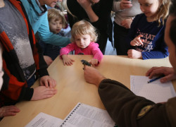 modraszka