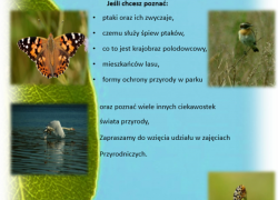 Bez_tytułu