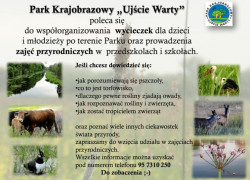 Bez_tytułuu