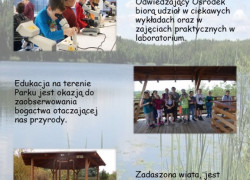 oferta_edu_PPK_zdjęcie_w_tle