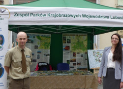 P1050808