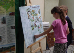 P1050810