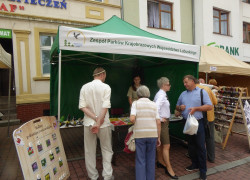 P1060477