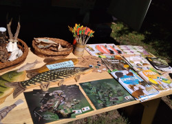 IMG_20170730_114012
