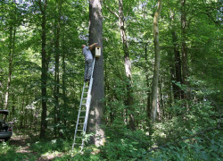 Montaż_budek_w_PKŁM_3