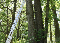 Montaż_budek_w_PKŁM_4