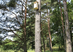 Montaż_budek_w_PPK_2