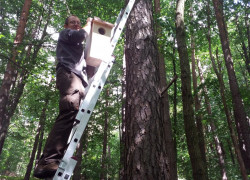 Montaż_budek_w_ŁSPK