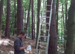 Montaż_budek_w_ŁSPK_2