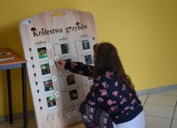 Targi_Rolnicze_Jesień_2017_3