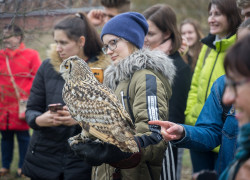20190322-DSC03775