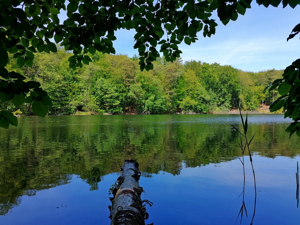 Jezioro Zieleniawe w rezerwacie fot. A.Szmatowicz Jezioro Zieleniawe w rezerwacie fot. A.Szmatowicz