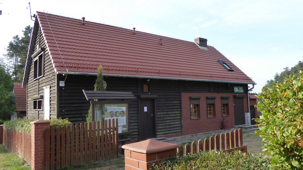 2. LSD po remoncie dachu