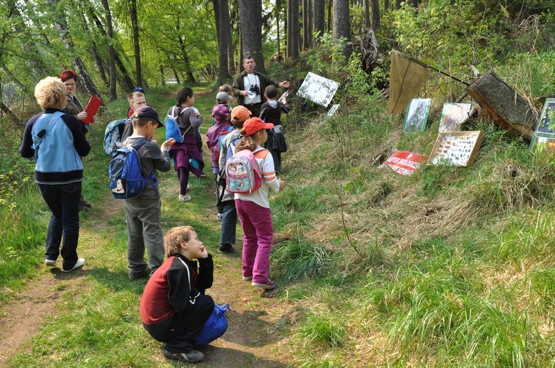 Wiosna w lesie