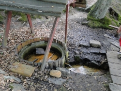 Źródełko stokowe fot. P. Jankowski