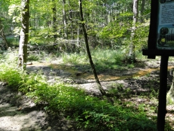 Źródełko Boży Dar fot. P. Jankowski