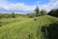 Koszenie fragmentów wału przeciwpowodziowego fot.K.Gajda