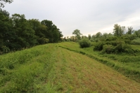 Skoszene fragmenty wałów fot. A.Stamm