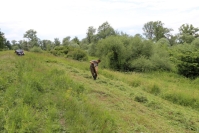 Usuwanie ściętej roślinności fot.A.Stamm